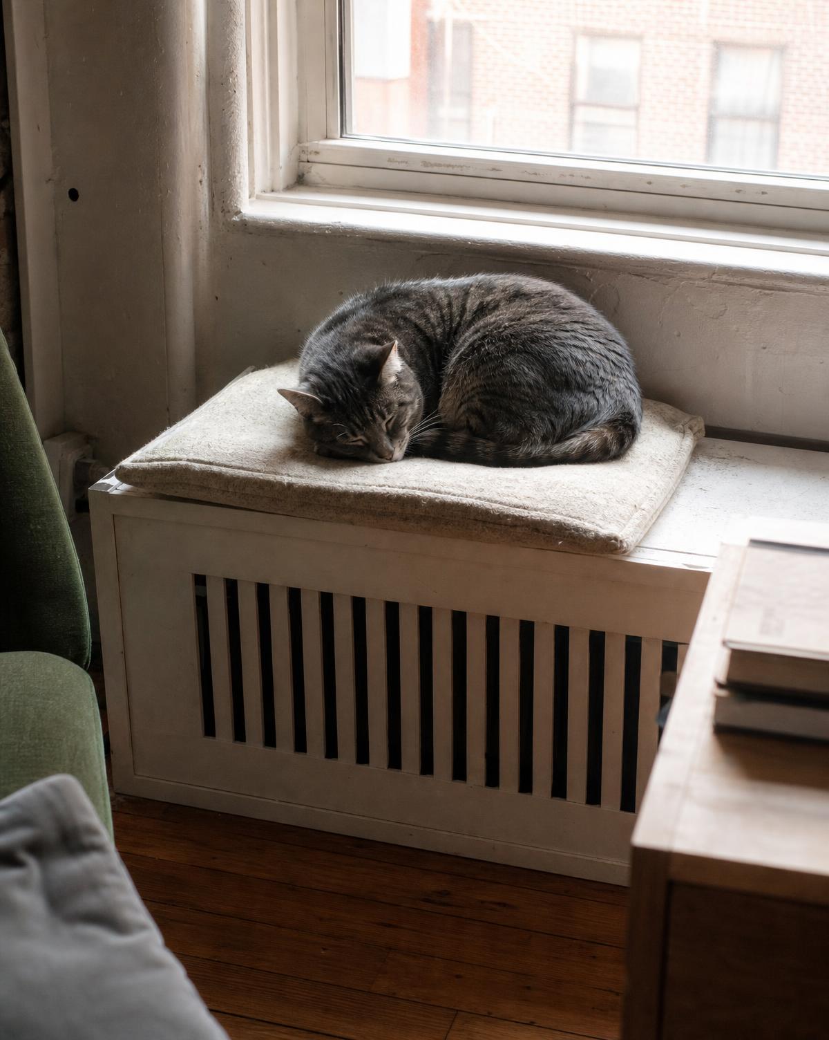 A ginger cat sitting on top of a radiator cover in a sunny window
